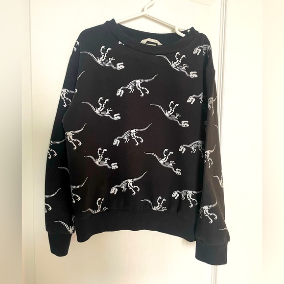 Boy sweatshirt  dinosaur H&M size 6-8 - Picture 1 of 6
